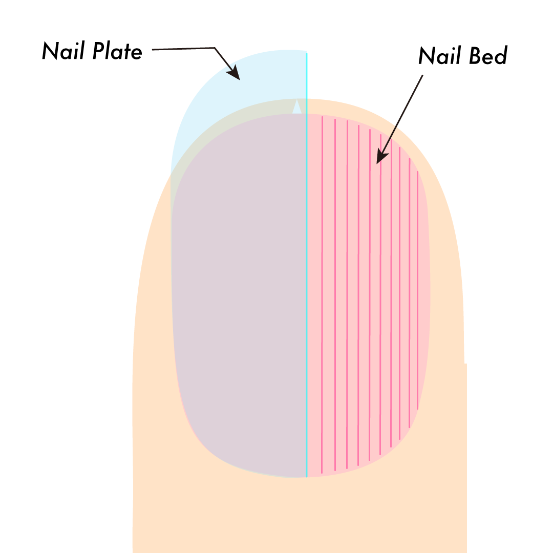 爪の縦線ケア.KOHネイルケア