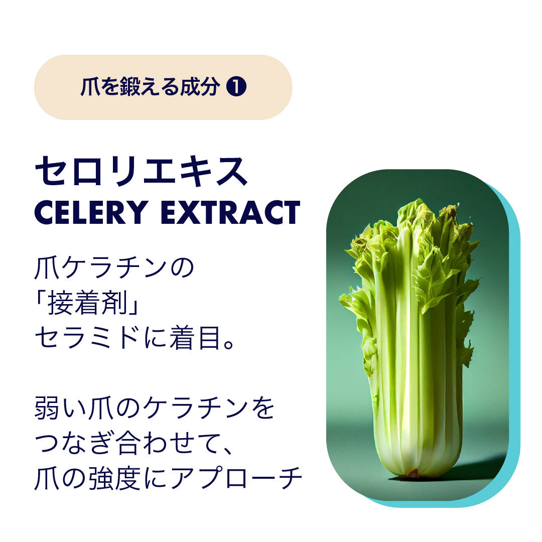 ネイルハードナー EXストロング