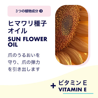 ひまわり種子オイル画像