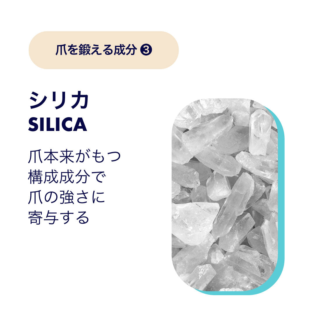 配合成分説明 シリカ