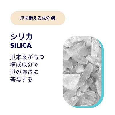 配合成分説明 シリカ